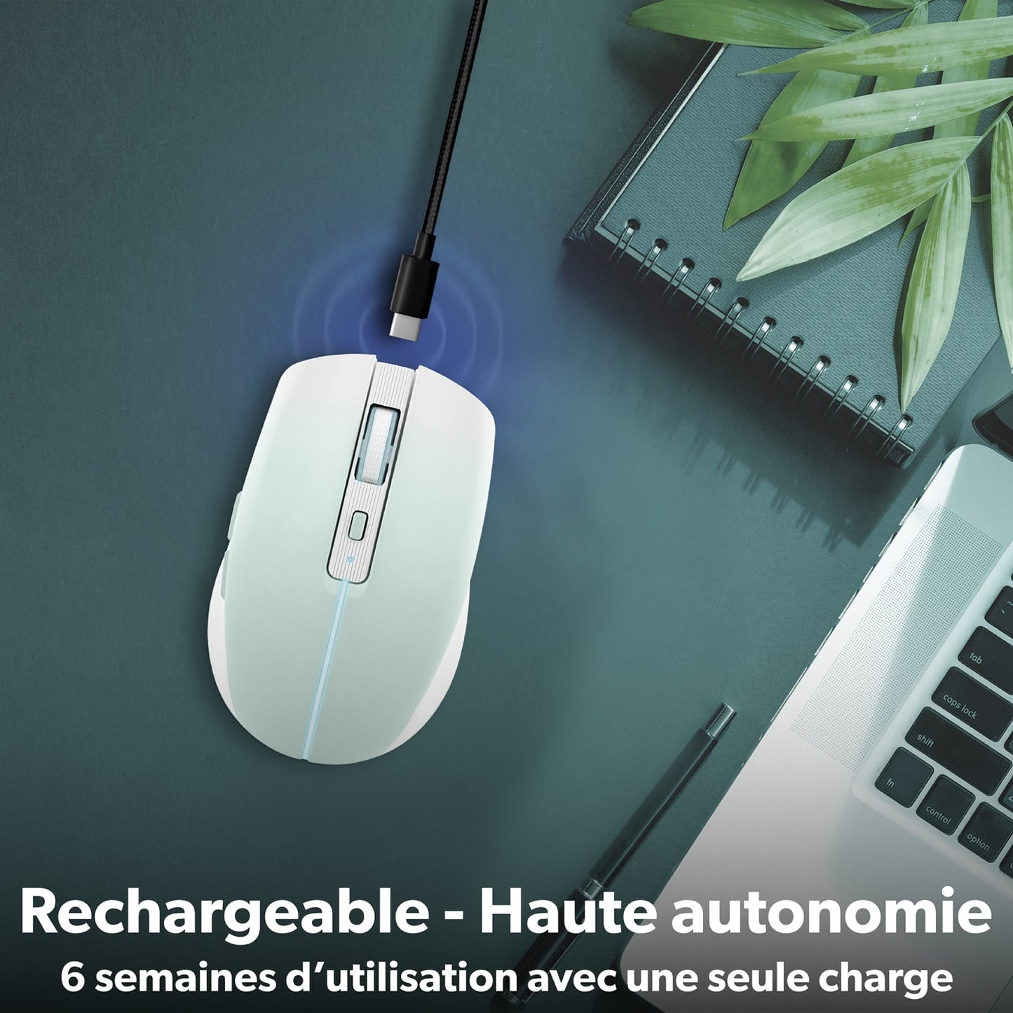 TNB Souris colorée rechargeable dual connect bleue - GRADIENT